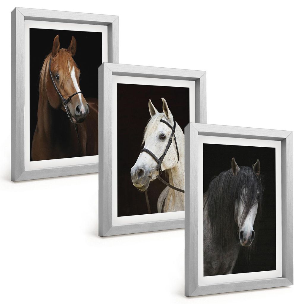 Bilder Set 3-teilig im silbergerahmten Rahmen – Wandbilder 3 Stück – gerahmte Poster für Wohnzimmer, Schlafzimmer und Flur – 20x30 cm – P...