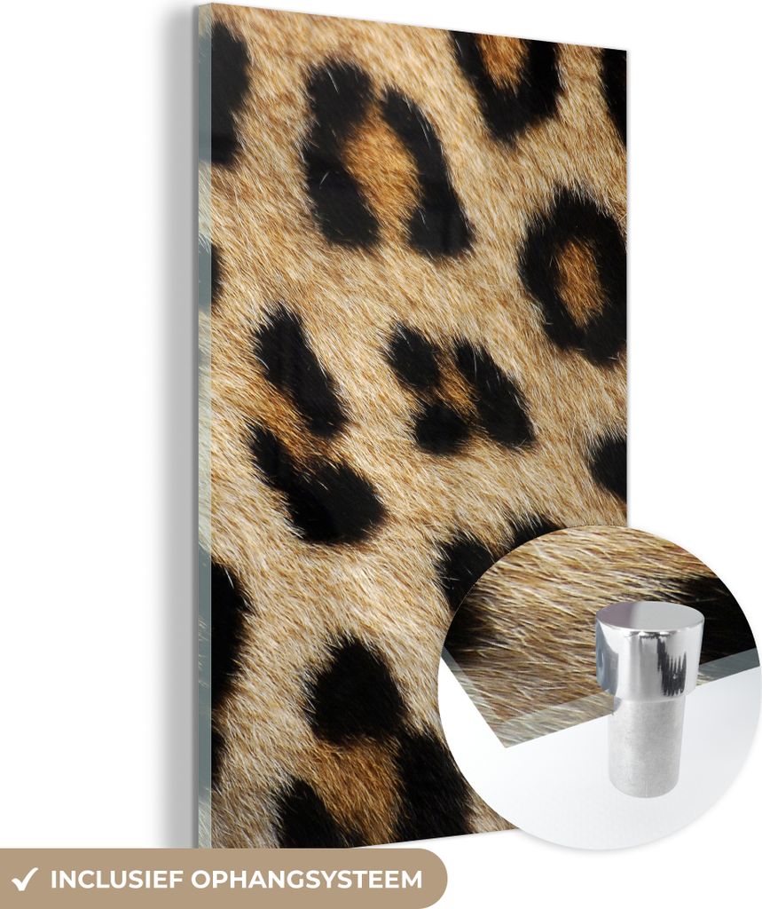 MuchoWow Glasbilder - Bilder auf Wandbild - Foto auf Glas Mantel - Leopard - Tiere 80x120 cm Wanddekoration aus Glas - Acrylglasbild - Acrylbilder ...