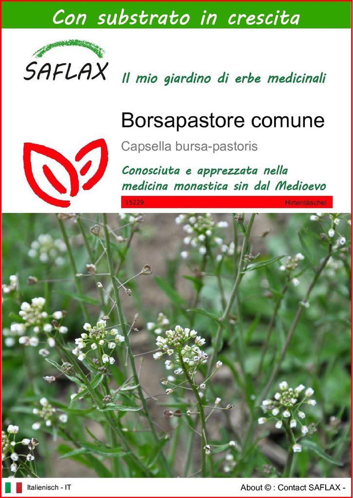 SAFLAX  - Borsapastore comune - 1000 semi - Con substrato - Immagine del prodotto 