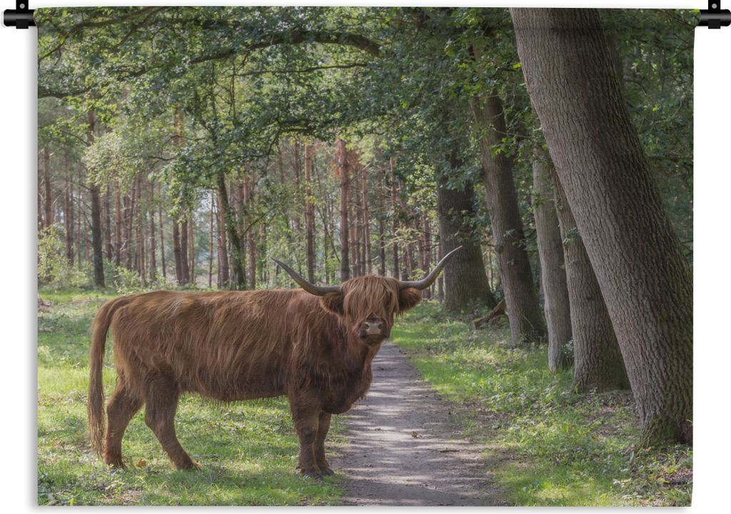 MuchoWow Wandteppich Wandbehang Schottischer Highlander - Kröte - Baum 120x90 cm Tapisserie Dekoration Wandtuch - Wohnen - Aufhänger für die Wand