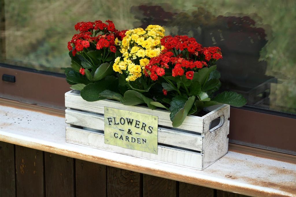 3 Pflanzentöpfe in Holzkiste im Shabby Look, Kräutertopf, Zink Blumentopf, Pflanzgefäß, Gartendeko für Draußen