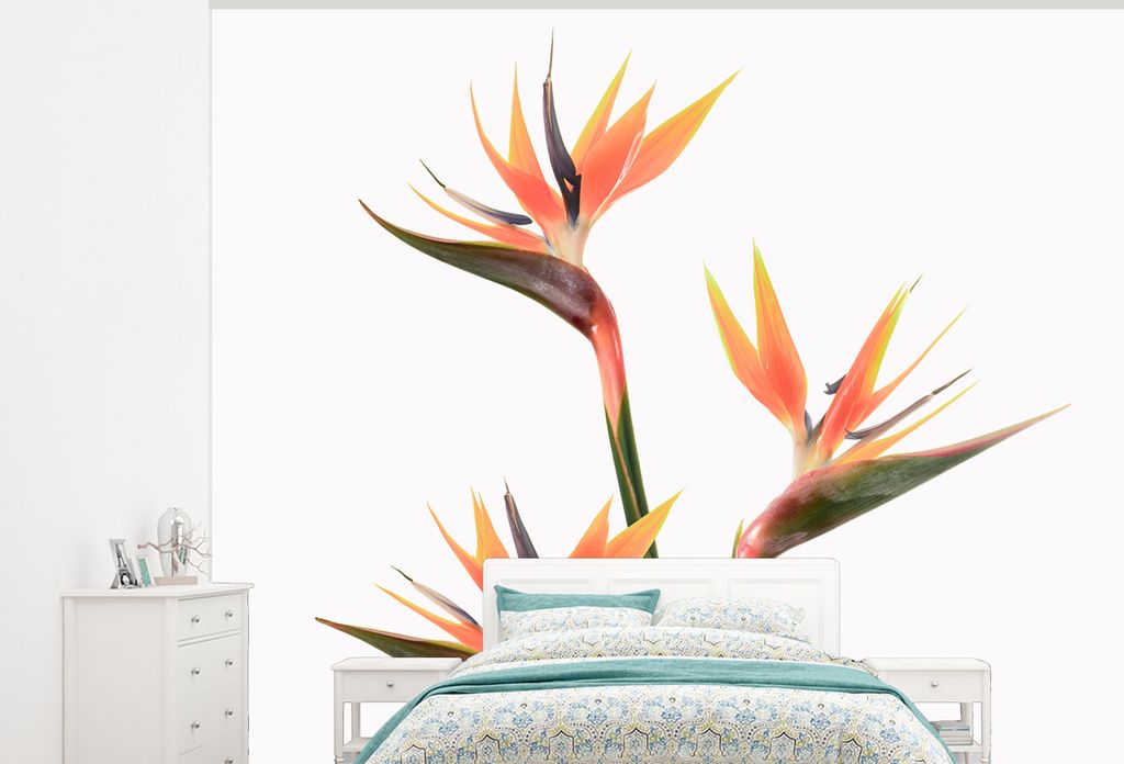 MuchoWow Fototapete für Wohnzimmer oder Schlafzimmer Wandtapete Vinyl Motivtapete Blumen - Orange - Natur - Pflanzen - 325x260 cm - Tapete
