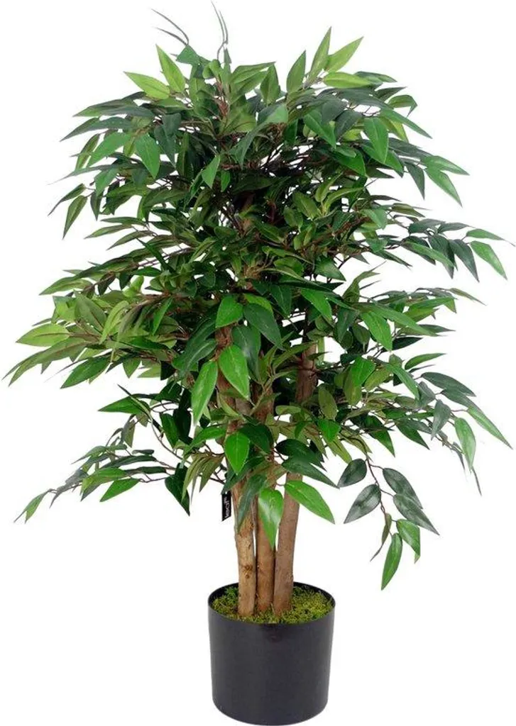 Arbre artificiel Smilax 90 cm - La solution déco pour pièces sans lumière