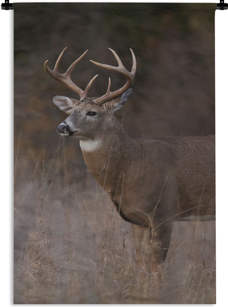 MuchoWow Wandteppich Wandbehang Herbst - Hirsche - Gras - Natur - Tiere 120x180 cm Tapisserie Dekoration Wandtuch - Schlafzimmer - Dekorationen f...