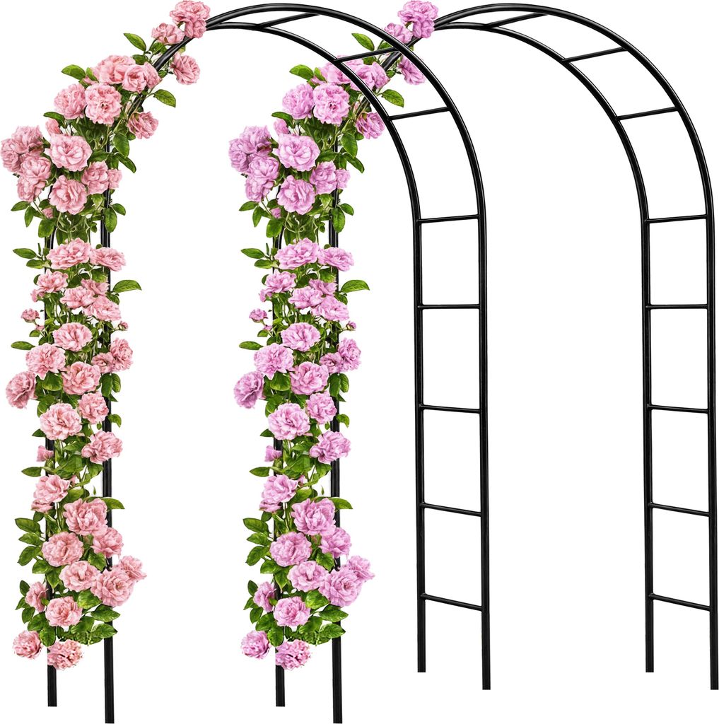 2x Arche de jardin 240x140x37cm Support pour plantes Image du produit 