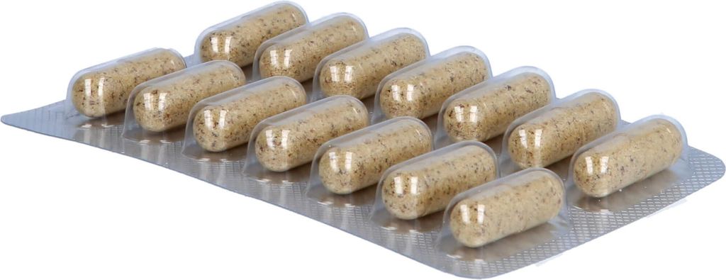 A blister pack of capsules on a white background.