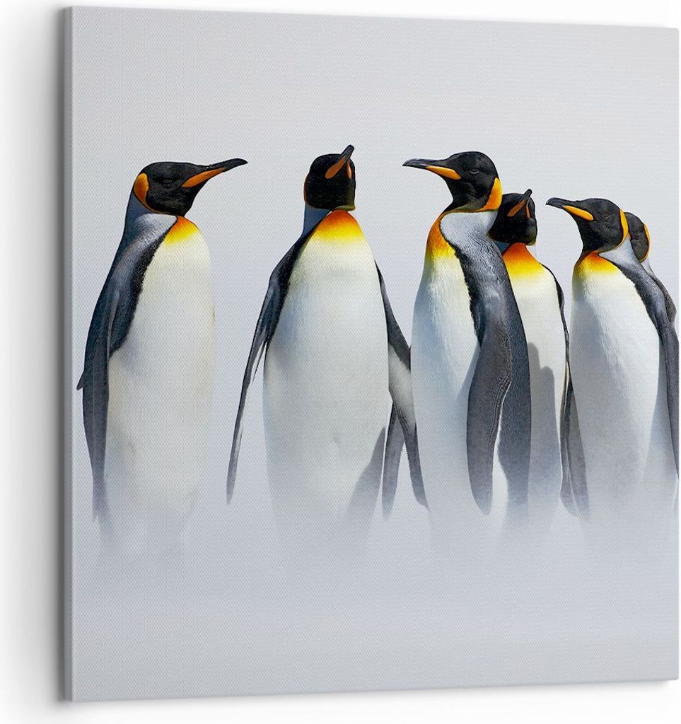 Bild auf Leinwand - Leinwandbild - Pinguine Winter Schnee Spaziergang - 60x60cm - Wand Bild - Wanddeko - Leinwanddruck - Bilder - Kunstdruck - Lein...