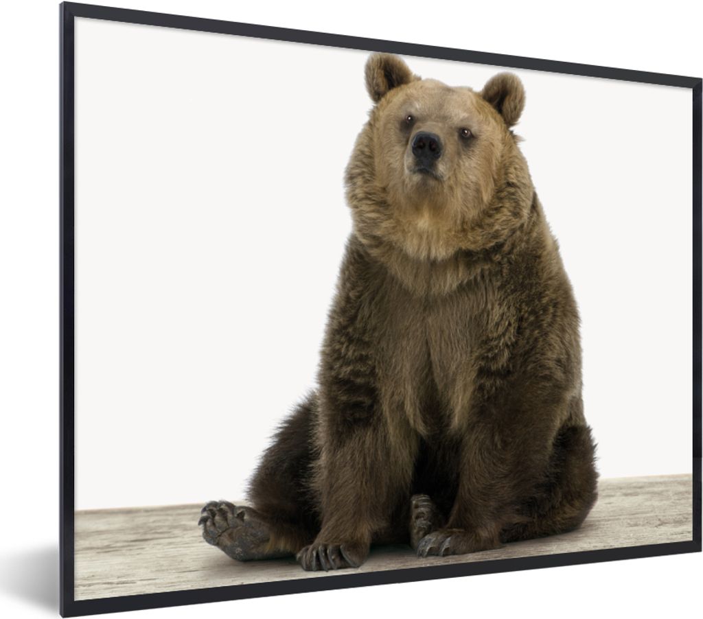 MuchoWow Gerahmtes Poster Braunbär - Tiere - Bär - Niedlich - Jungen - Mädchen 80x60 cm - Poster mit Schwarzem Bilderrahmen Wandposter Rahmen ...