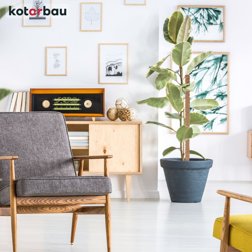 KOTARBAU® Sada 4 mechových tyčí pro Monstera Coconut Obrázek produktu 9