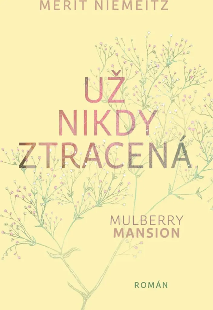 Livre Už nikdy ztracená par Merit Niemeitz : Guide de développement