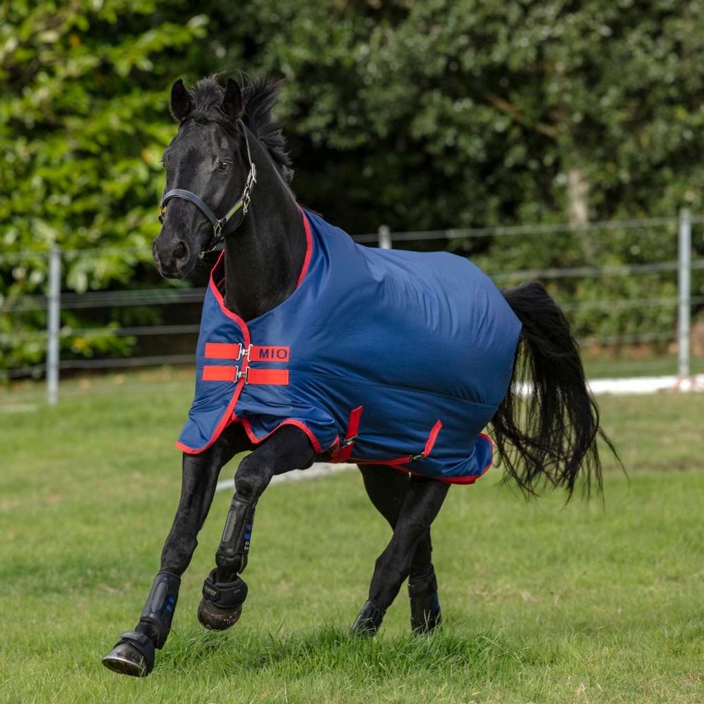Horseware Mio Turnout Medium 200g - Dark Blue & Red, 90