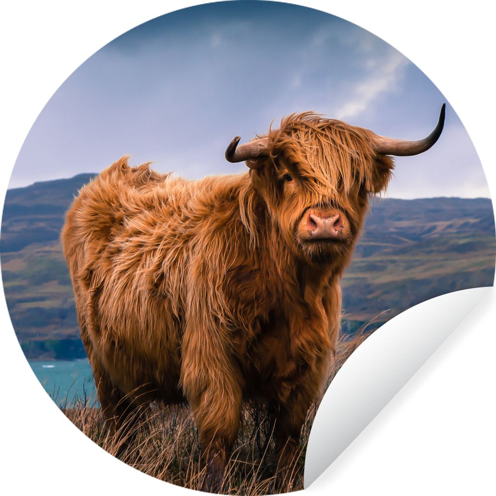 MuchoWow Runde Wandtattoo - Wandsticker Tapete Aufkleber Schottischer Highlander - Berg - Wasser - Natur - Kuh Ø 30 cm Selbstklebend und Reposit...