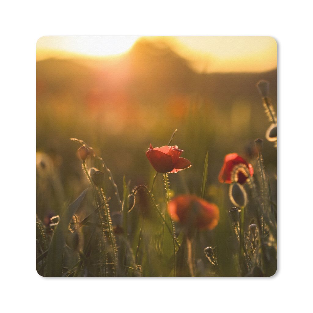 MuchoWow Mauspad Mousepad Mohn - Sonnenuntergang - Gold 20x20 cm - Mousepads - Maus Mat - Pad - Mausunterlage - Desk Mat - Bureauartikeln