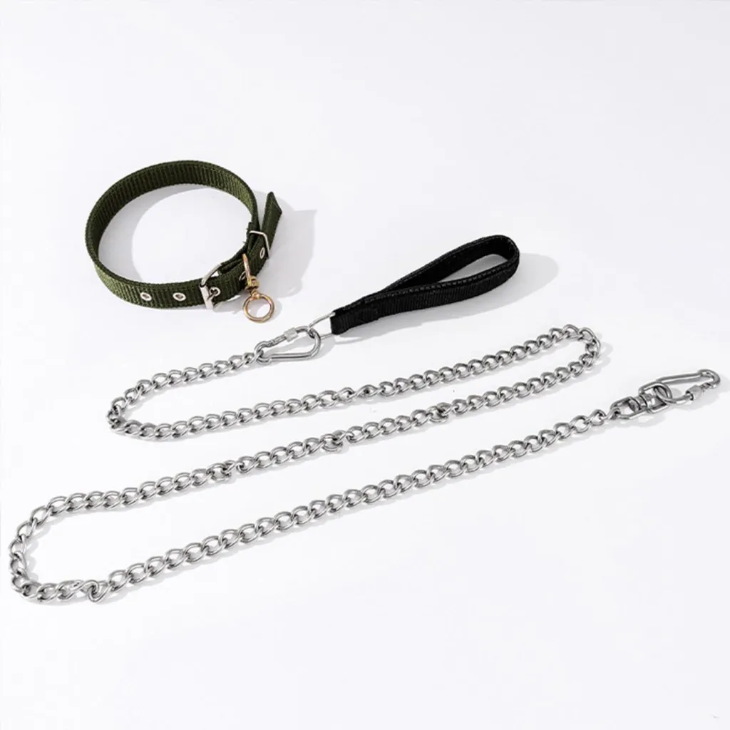 Chaîne de promenade pour chien 3m en inox et collier rembourré confort