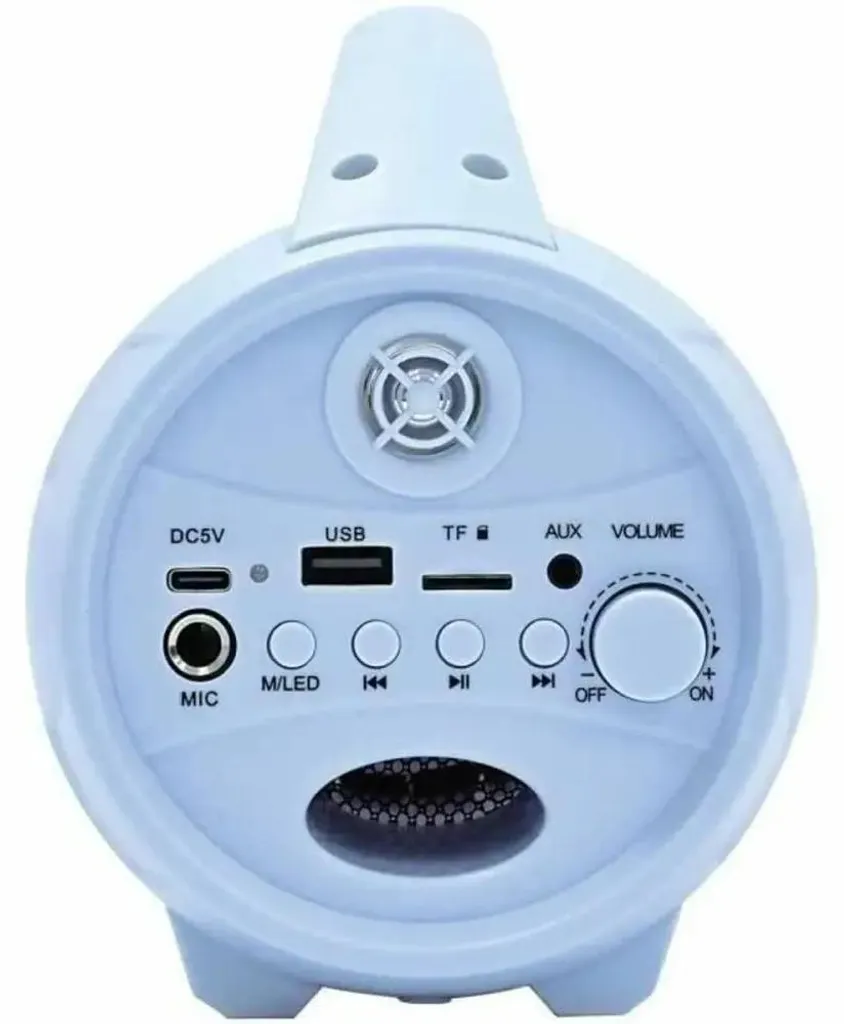 Haut-parleur Bluetooth Disney Frozen microphone enfant stop aux cris sans micro