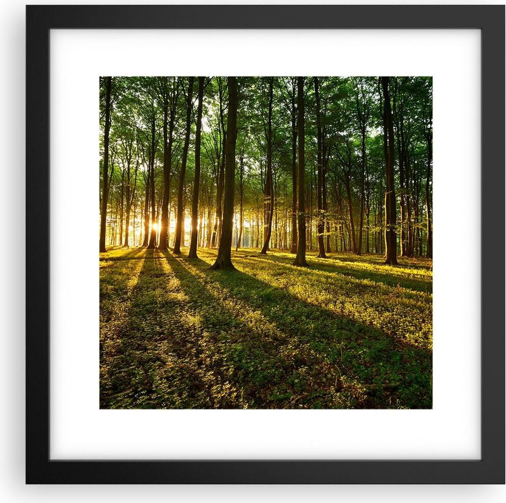 Gerahmtes Poster - Schwarzer Rahmen - Wald grün Sonnenstrahlen Natur - 30x30 cm - Wand Bild - Wanddeko - Wandbilder - Wandposter - Bilderrahmen - ...