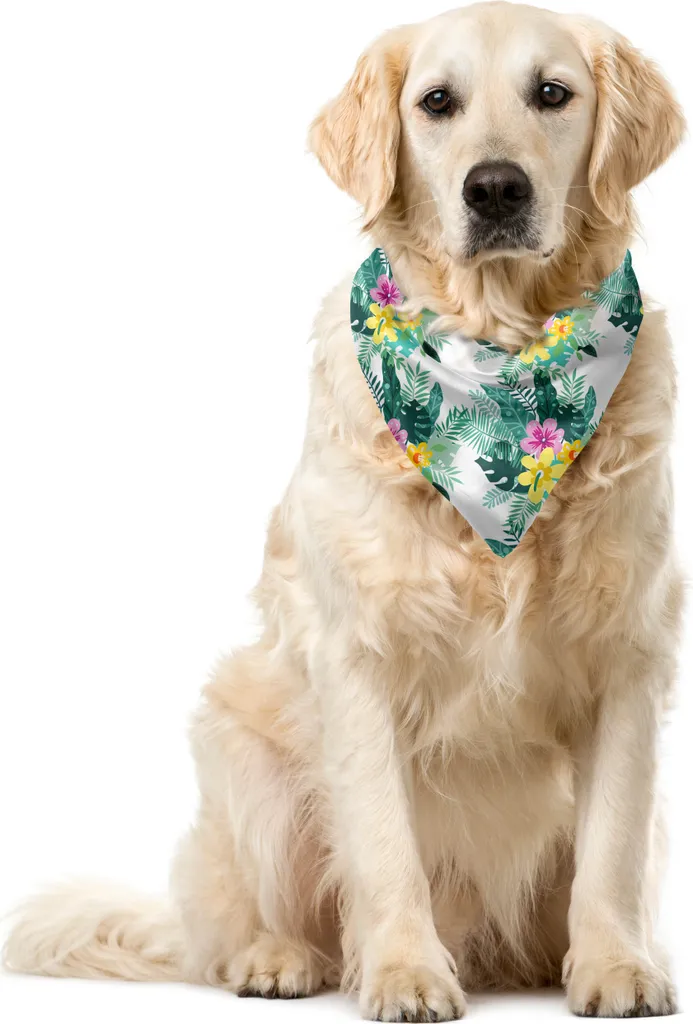 ABAKUHAUS Bandana per animali domestici Philodendron, Hawaii Fun Bouquet, 55x55 cm, multicolore