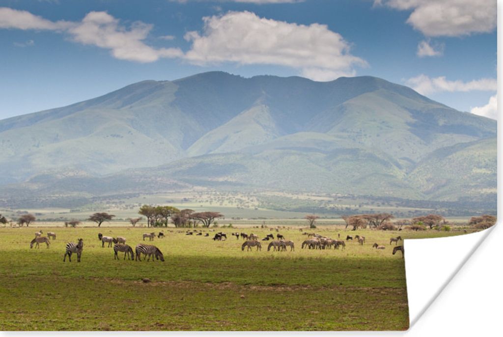 MuchoWow Poster Wilde Tiere beim Grasen in der Savanne des Serengeti-Nationalparks 60x40 cm - Schlafzimmerdekoration