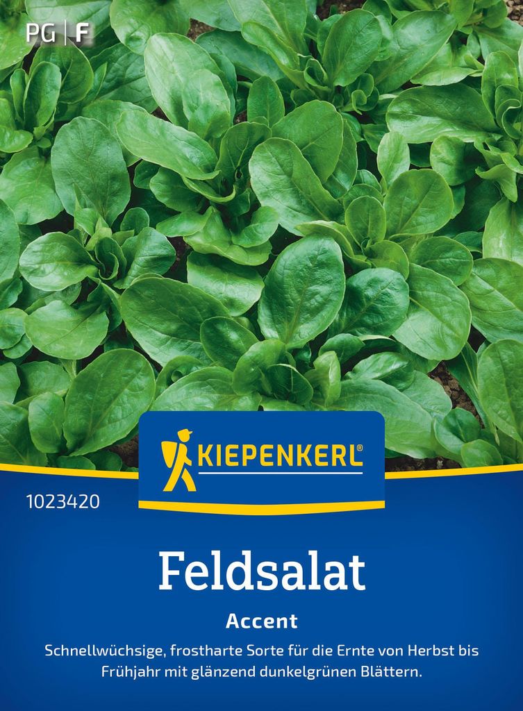 Artikelbild 2 von 'Feldsalat Accent' aus der Kategorie Feldsalatsamen