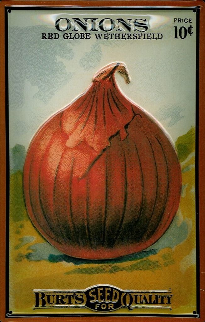 Blechschild Onions Zwiebel Gemüse Schild Küchendekoration Deko
