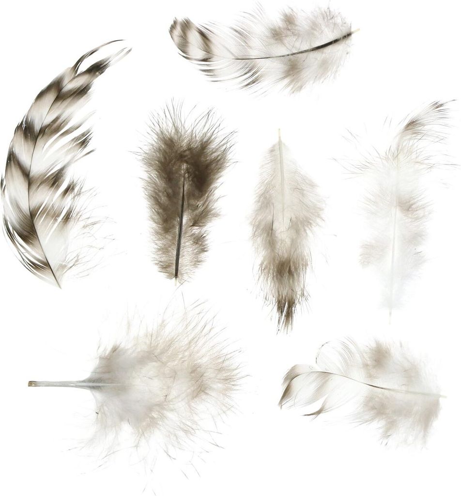 Natürliche Deko-Federn 5,5-10cm 10g zum Basteln & Schmücken