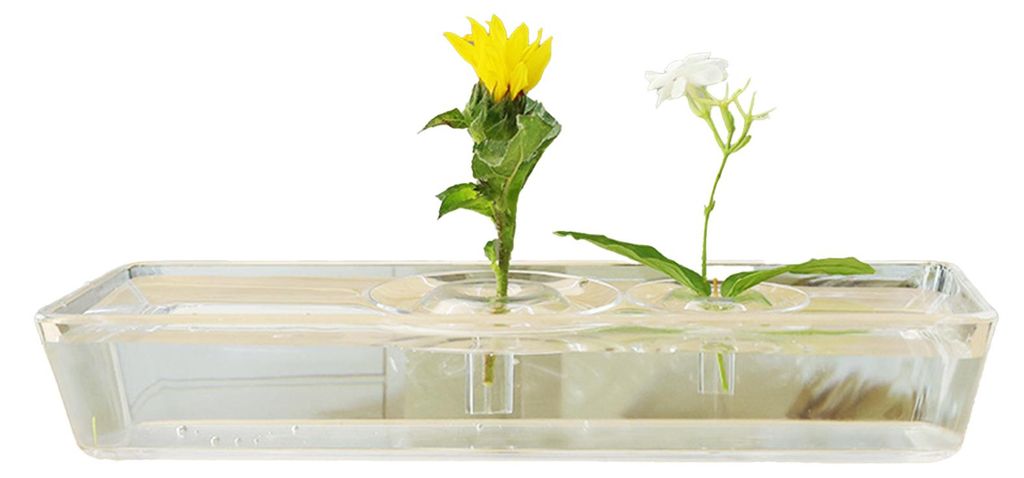 Hydroponischer Blumenarrangementhalter aus transparentem Acryl für den Schreibtisch, multifunktionaler Behälter