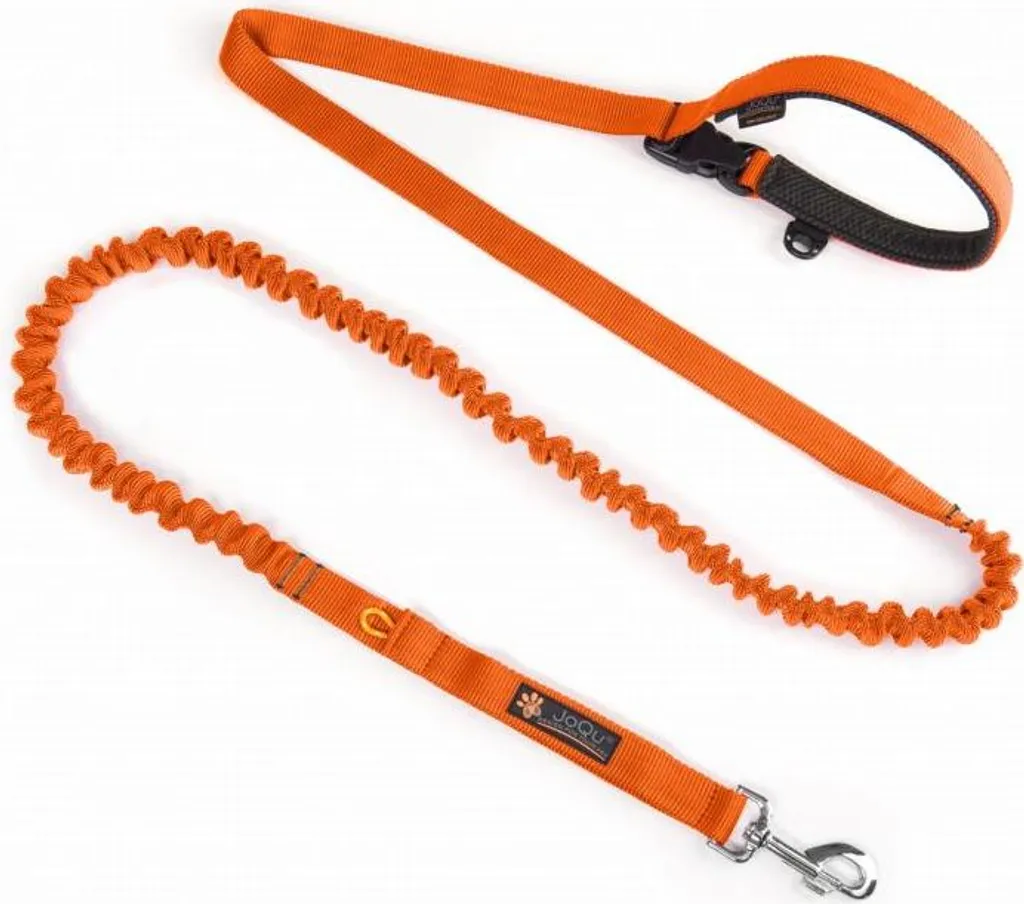 Laisse amortissante pour chien JoQu Orange idéale canicross et running