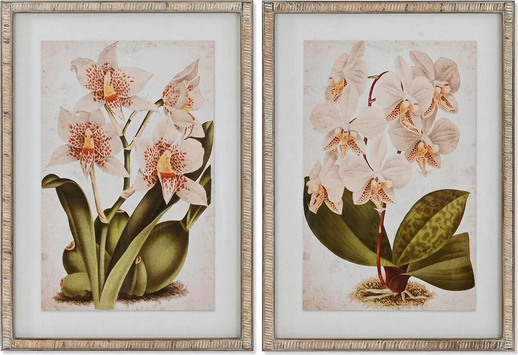 Duo de Tableaux Décoratifs Orchidée Tropicale 50x70cm pour Salon Chic