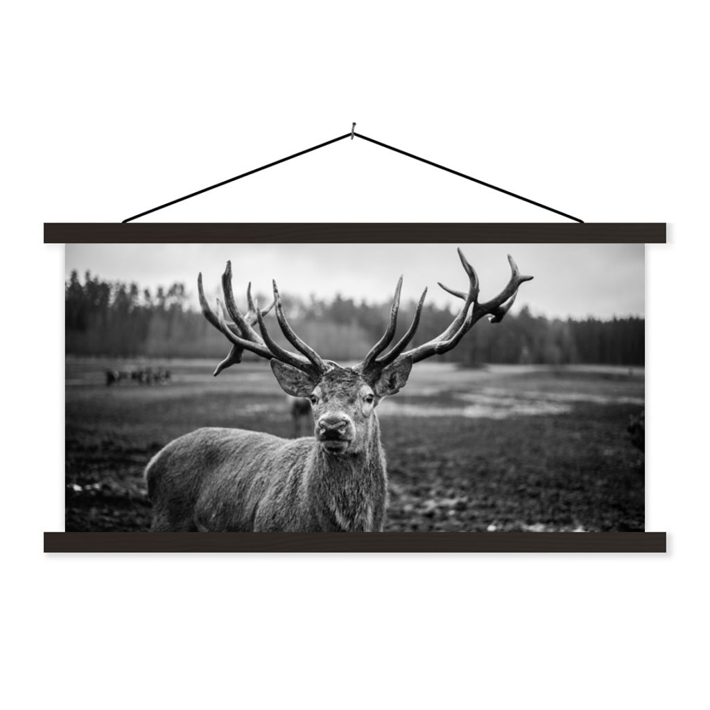MuchoWow Textilposter Tiere - Hirsch - Geweih - Schwarz und weiß - Natur 90x45 cm mit schwarzem Rahmen - Klemmleisten