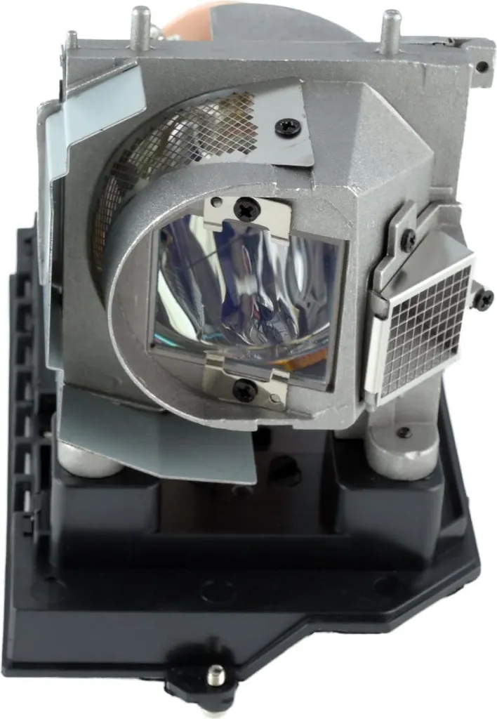 Module Lampe 60003130 pour NEC NP-U300X avec boîtier de montage