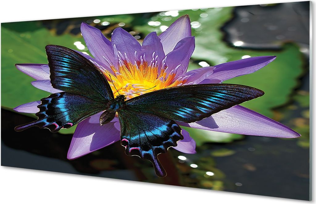 Spritzschutz 100x50 Wandkunst Schmetterling Blume