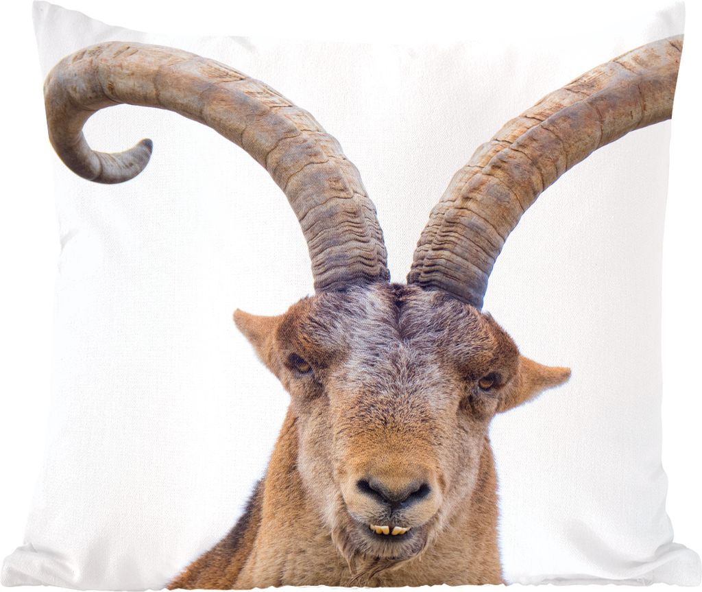 MuchoWow Zierkissen Sofakissen Wohnzimmer Dekokissen 60x60 cm Steinbock - Tiere - Horn - Sitzfläche - Foto Polster