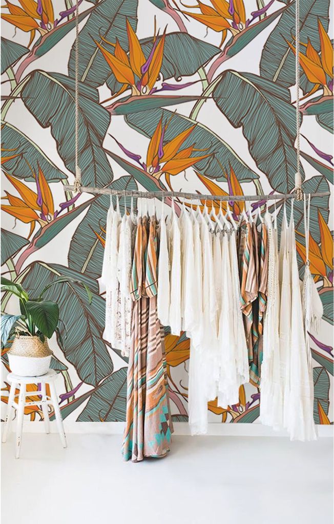 Coloray Fototapete 250x104 cm Vlies-Fototapete - Vektorblumen schälenstab