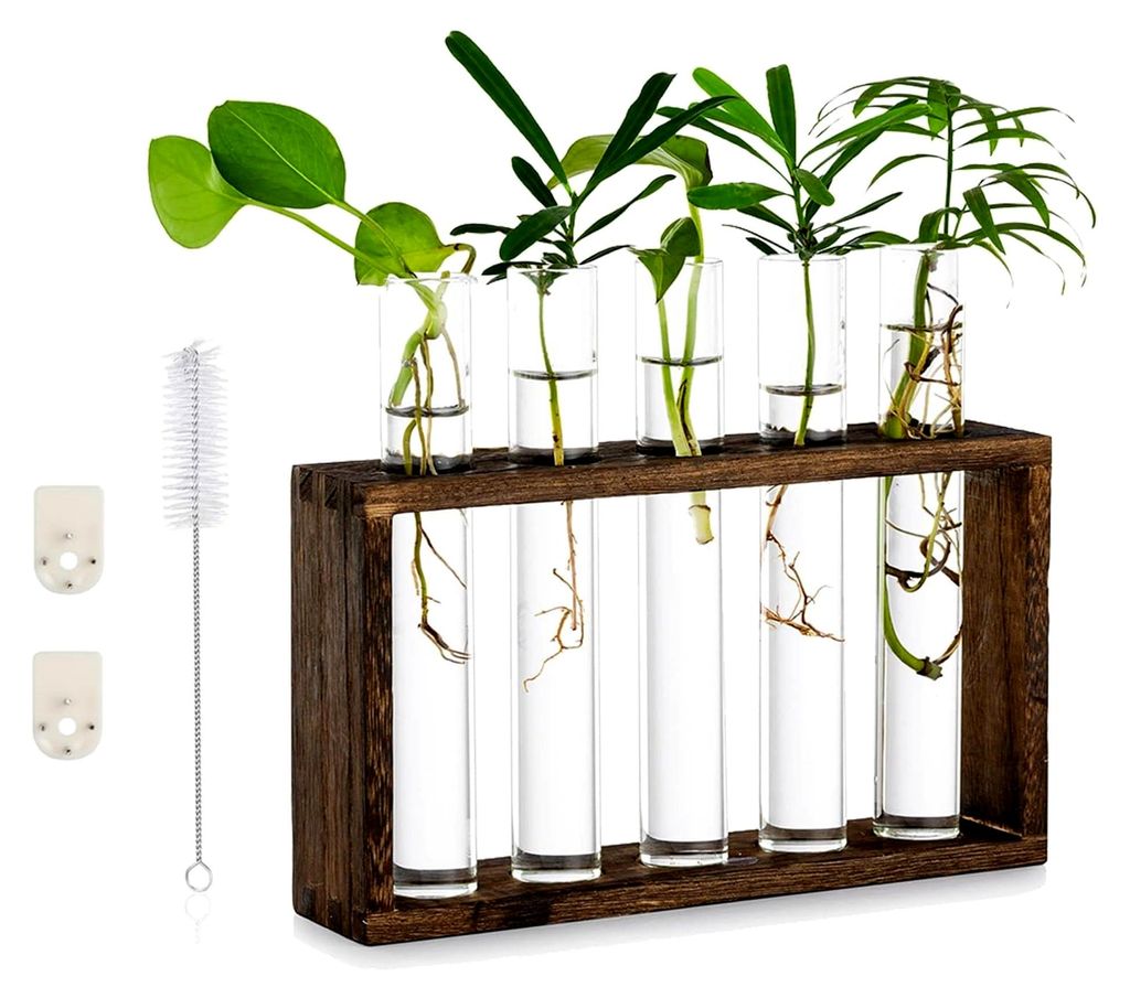 Moderne Blumenvase Kleine Vasen Deko Set Vintage Glas Reagenzgläser mit Holzständer für Tischdeko Wohnzimmer Outdoor Taufe Geburtstag Hydroponik