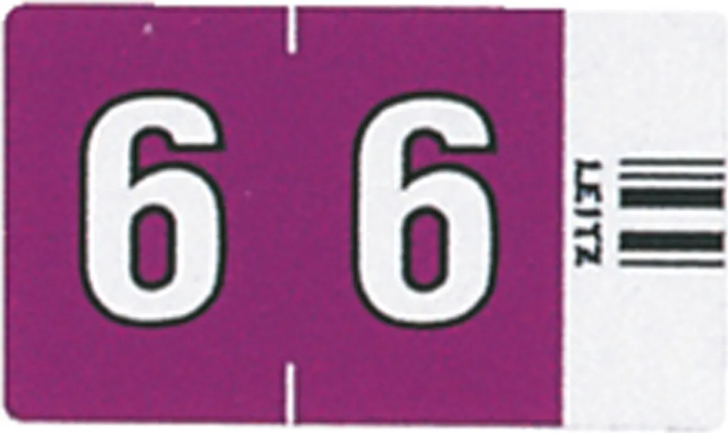 Étiquette Index Numérique Orgacolor 6 Violet Leitz pour Dossier - 2