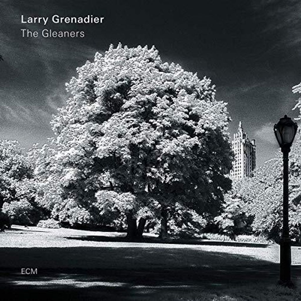 Larry Grenadier - The Gleaners Vinyl