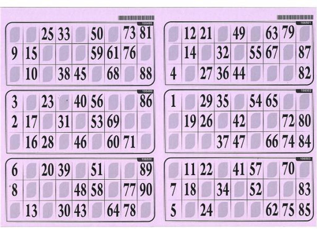 Plaque de 6 grilles de loto rigide 1mm lilas - cartons loto Image du produit 