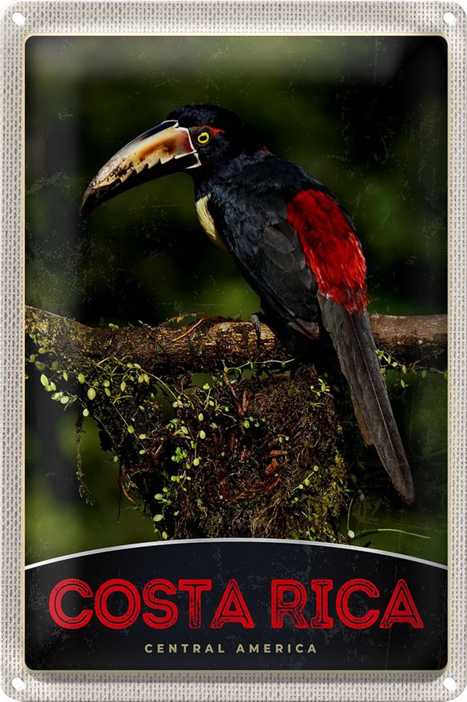Blechschild Reise 18x12cm Costa Rica Central America Vogel Natur
