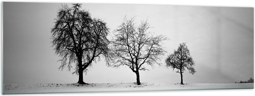 Bilder auf glas - Einteilig - Winter Bäume Schnee - 160x50cm - Glasbilder - Wandbilder - Bilder - zum Aufhängen bereit - Wanddekoration aus Glas ...