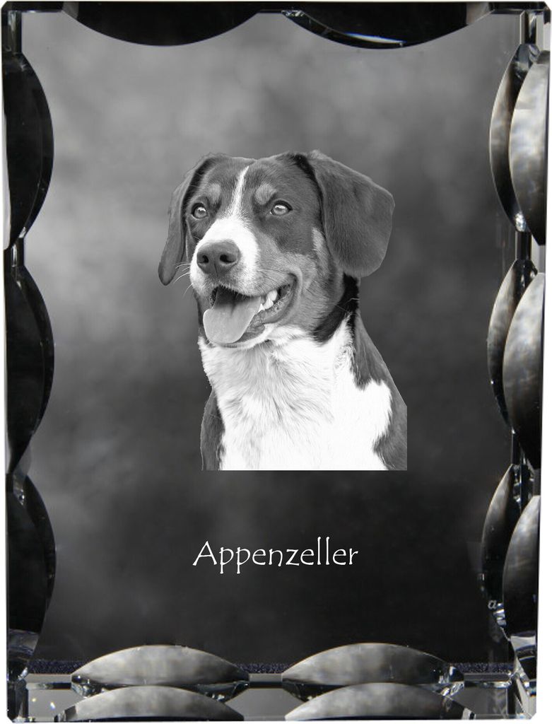 Appenzeller Sennenhund, Appenzellerhund - Kristall mit einem Hundebild, Glasstatuette mit einem Bild, einzigartiger Bilderrahmen der Marke Art-Dog