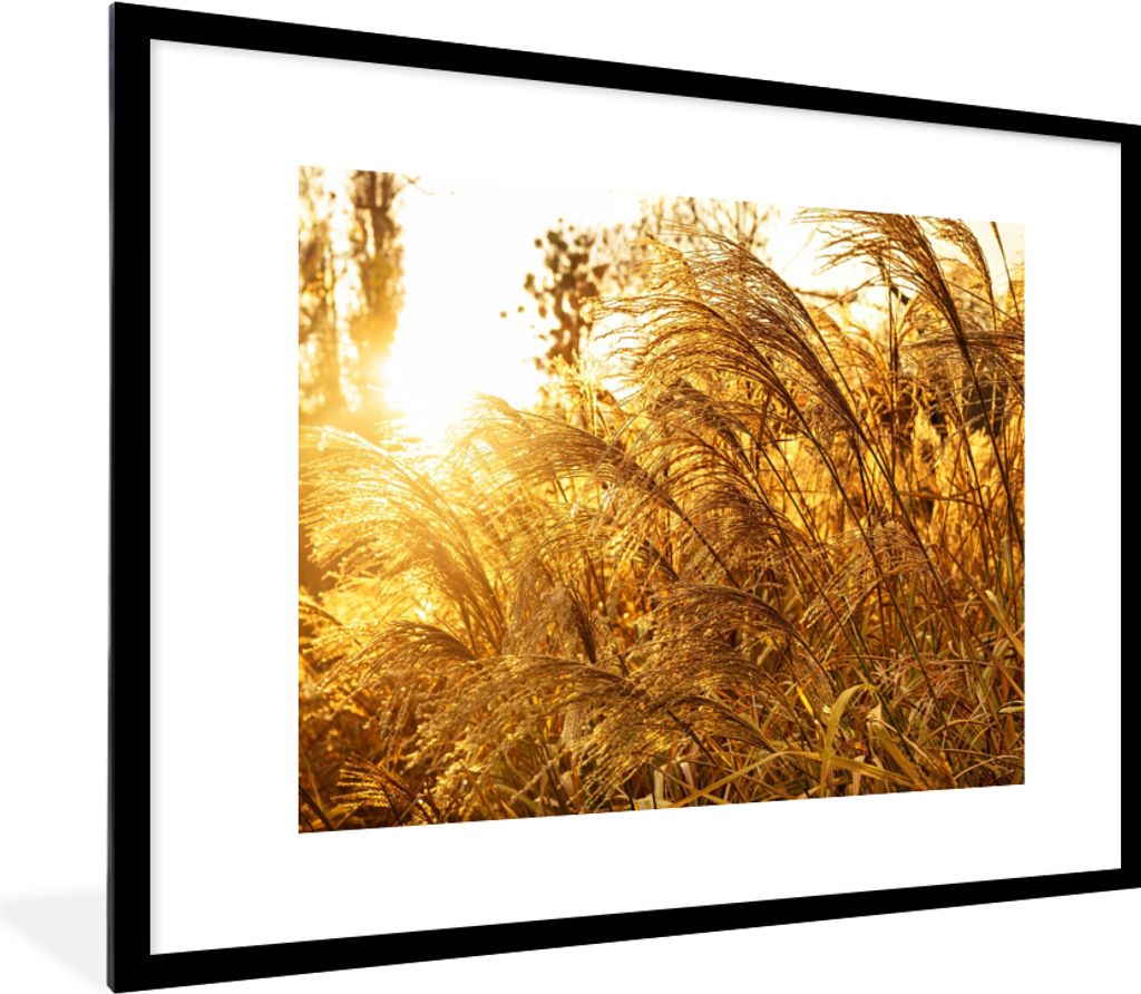 MuchoWow Gerahmtes Poster Pampasgras - Sonne - Gras 80x60 cm - Poster mit Schwarzem Bilderrahmen Wandposter Rahmen Foto Bilder - Schlafzimmer-Dek...