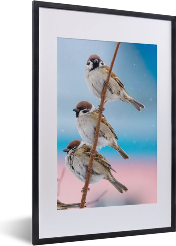 MuchoWow Gerahmtes Poster Vögel - Spatz - Tiere - Äste 40x60 cm - Poster mit Schwarzem Bilderrahmen Wandposter Rahmen Foto Bilder - Poster in R...