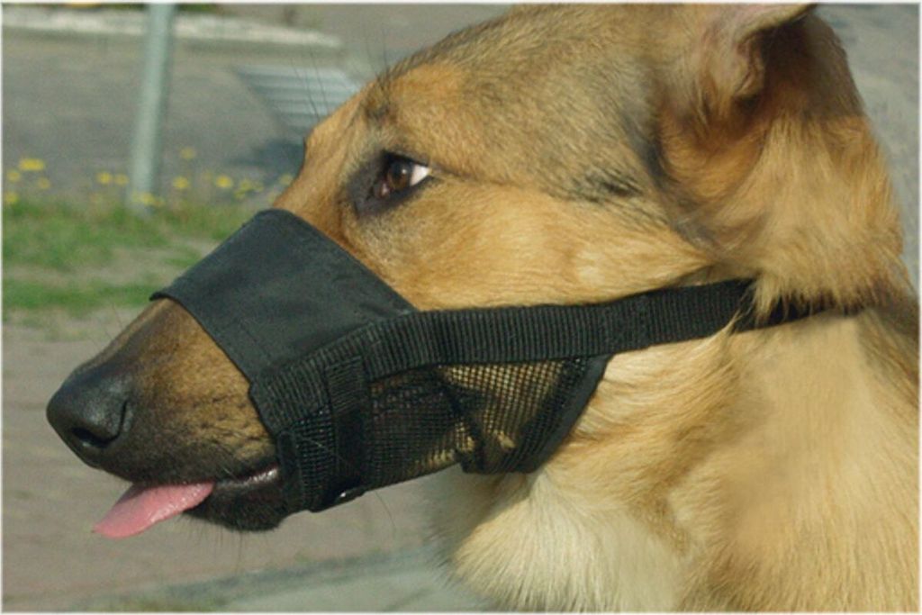 Beeztees Comfort Maulkorb - Hund - M - 15-20 cm