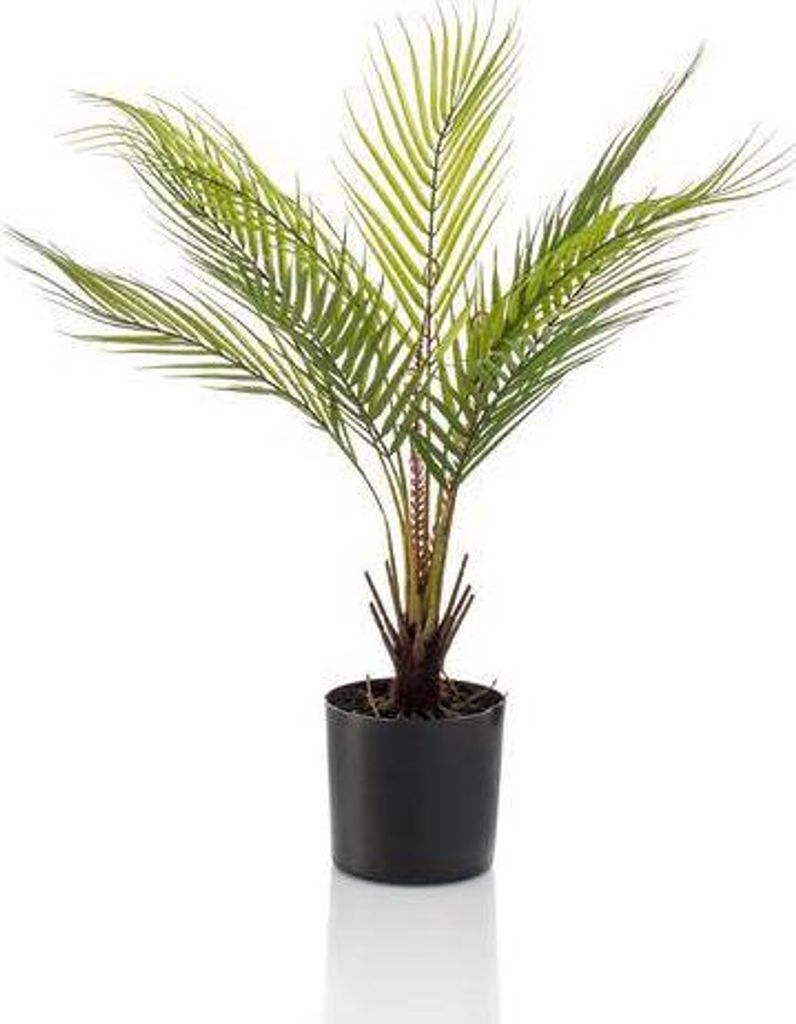 Kunstpflanze Bergpalme Chamaedorea elegans 50cm pflegefreie Dekopalme
