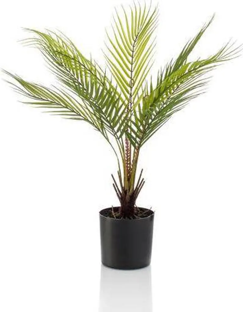Palmier Chamaedorea artificiel 50 cm sans entretien aspect naturel vert