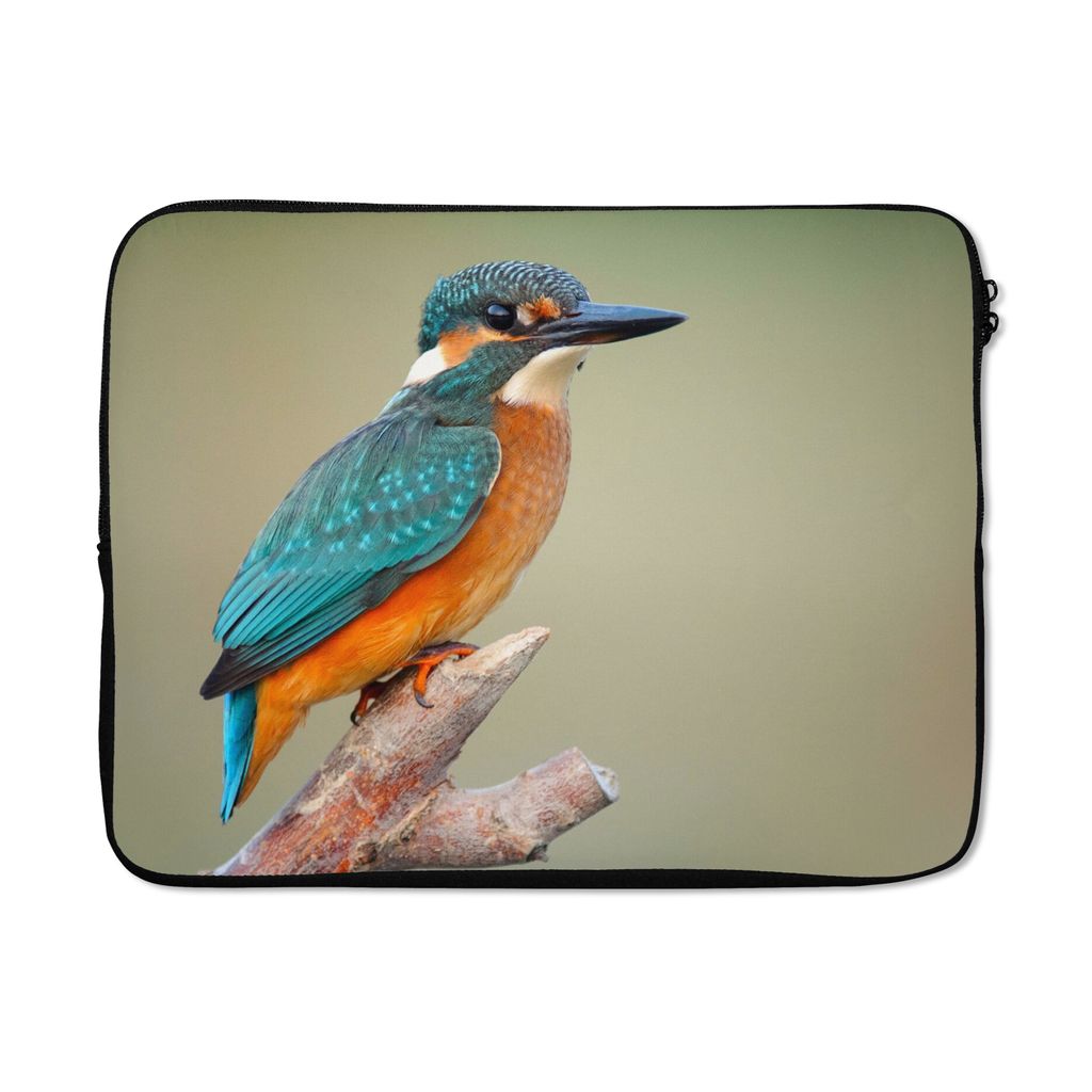 MuchoWow Laptop Hülle 17 Zoll Laptoptasche Vogel - Eisvogel - Zweig - Zipper - Schutzabdeckung