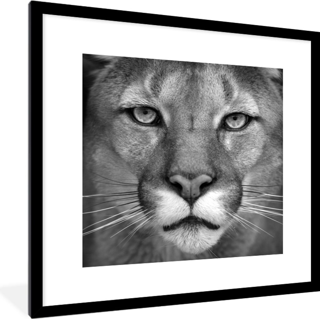 MuchoWow Gerahmtes Poster Panther - Wildlife - Schwarz - Weiß 40x40 cm - Poster mit Schwarzem Bilderrahmen Wandposter Rahmen Foto Bilder - Poste...