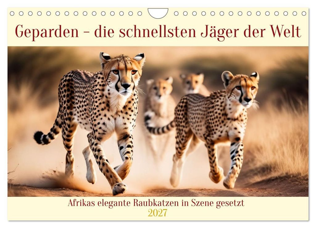 Geparden - die schnellsten Jäger der Welt (Wandkalender 2027 DIN A4 quer), CALVENDO Monatskalender