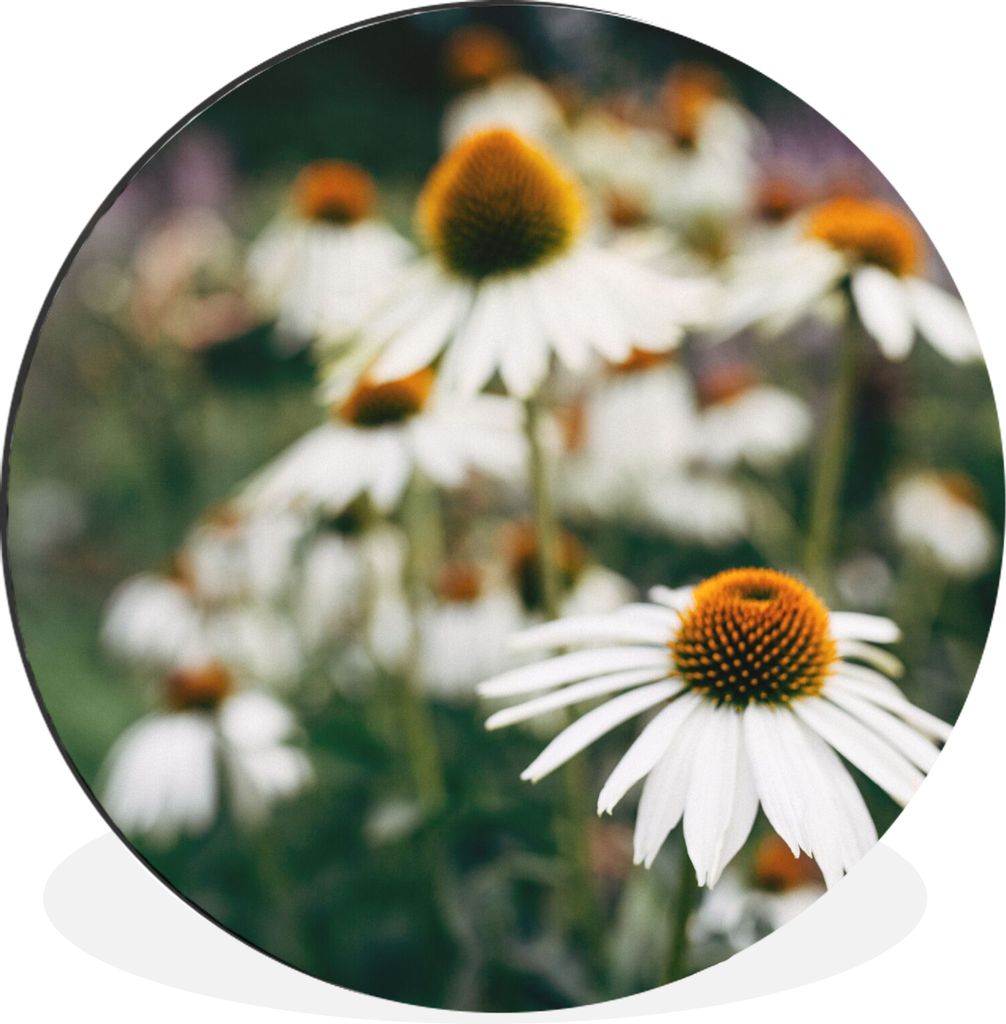 MuchoWow Aluminium Wandkreis Blumen - Herbst - Botanisch Ø 90 cm Wanddeko Modern Wohnzimmer - Mauerkreis - Wandbilder - Runde Bild - Bild aus Al...