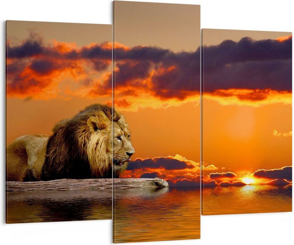 Bild auf Leinwand - Leinwandbild - Löwe Sonne Landschaft - Produktbild 